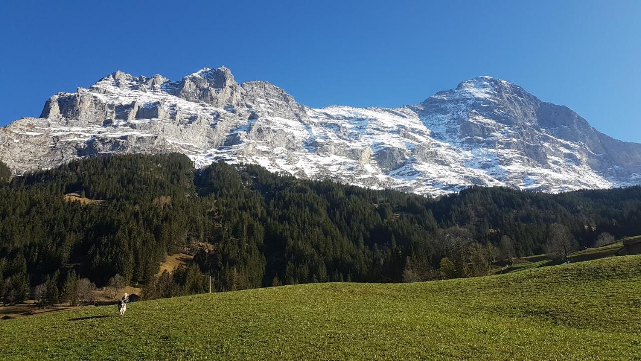 Chalet Bei Der Arve Grindelwald Exterior photo